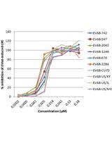In vitro Assay to Assess Efficacy of Potential Antiviral Compounds against Enterovirus D68