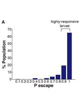 Measuring Behavioral Individuality in the Acoustic Startle Behavior in Zebrafish
