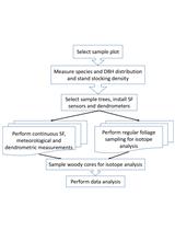 Forest GPP Calculation Using Sap Flow and Water Use Efficiency Measurements