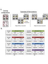 The Object Context-place-location Paradigm for Testing Spatial Memory in Mice