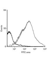 Immunoprecipitation of Cell Surface Proteins from Gram-negative Bacteria
