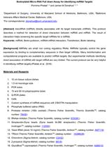 采用生物素化Micro-RNA pulldown鉴定miRNA靶标