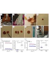 Relative Stiffness Measurements of Tumour Tissues by Shear Rheology