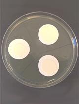接合实验检测葡萄球菌CRISPR-Cas的抗质粒免疫功能