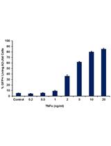 A2和A72 J-Lat细胞系中药物诱导的HIV-1转录活性的流式细胞术分析