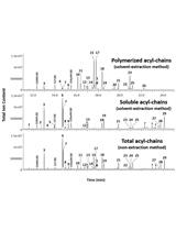Root Aliphatic Suberin Analysis Using Non-extraction or Solvent-extraction Methods