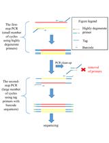 Tagged Highly Degenerate Primer (THDP)-PCR for Community Analysis of Methane-  and Ammonia-oxidizing Bacteria Based on Copper-containing  Membrane-bound Monooxygenases (CuMMO)