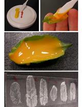Estimation of Stomatal Aperture in Arabidopsis thaliana Using Silicone Rubber Imprints