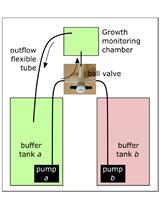 Non-invasive Protocol for Kinematic Monitoring of Root Growth under Infrared Light
