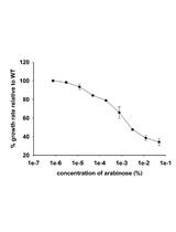Gene Dosage Experiments in Enterobacteriaceae Using Arabinose-regulated Promoters