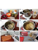Cell Type-specific Metabolic Labeling of Proteins with Azidonorleucine in <em>Drosophila</em>