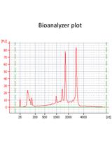 Overrepresentation Analyses of Differentially Expressed Genes in the Smut Fungus  Ustilago bromivora during Saprophytic and in planta Growth
