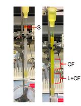 Liposome Disruption Assay to Examine Lytic Properties of Biomolecules