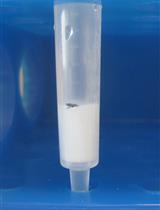 Separation and Purification of Glycosaminoglycans (GAGs) from Caenorhabditis elegans