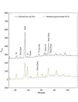 Digestion of Peptidoglycan and Analysis of Soluble Fragments