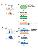 Using Silicon Polymer Impression Technique and Scanning Electron Microscopy to Measure Stomatal Aperture, Morphology, and Density