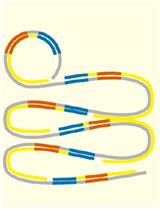 Detection of Pathogens and Ampicillin-resistance Genes Using Multiplex Padlock Probes