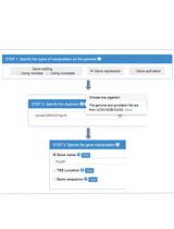 Using CRISPR-ERA Webserver for sgRNA Design