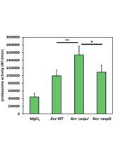 Ubiquitin Proteasome Activity Measurement in Total Plant Extracts