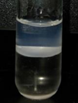 Lipidomic Analysis of <em>Caenorhabditis elegans</em> Embryos