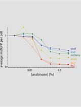Protocol for Construction of a Tunable CRISPR Interference (tCRISPRi) Strain for <em>Escherichia coli</em>