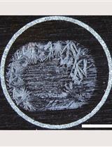 拟南芥叶中木葡聚糖组分分析