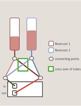 A Flow-assay for Farnesol Removal from Adherent Candida albicans Cultures