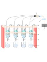 A Method for Radioactive Labelling of Hebeloma cylindrosporum  to Study Plant-fungus Interactions
