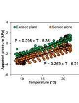 Monitoring Xylem Hydraulic Pressure in Woody Plants
