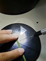 Isolation of Rice Stripe Virus Preparation from Viruliferous Small  Brown Planthoppers and Mechanic Inoculation on Rice