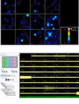Obtaining Multi-electrode Array Recordings from Human Induced  Pluripotent Stem Cell–Derived Neurons