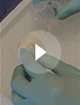 脑组织明胶包埋的最新方法和用以连续重建的切片组织的简化排列