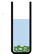 采用ICP-MS测定集胞藻PCC6803中Mn的浓度