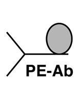 使用流式细胞术的Notch配体结合检测