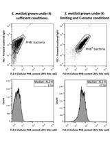 Quantification of Bacterial Polyhydroxybutyrate Content by Flow Cytometry
