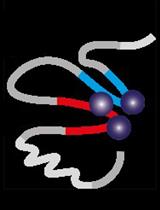 Low-input Capture-C: A Chromosome Conformation Capture Assay to  Analyze Chromatin Architecture in Small Numbers of Cells