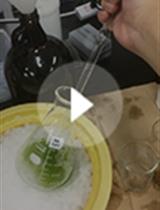 通过测量H+泵和定量H+-ATP酶分析测定拟南芥保卫细胞原生质体中H+-ATP酶的活性