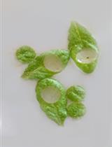 Quantifying the Capacity of Phloem Loading in Leaf Disks with [14C]Sucrose