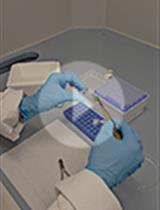 Infection of Soybean Plants with the Insect Bacterial Symbiont Burkholderia gladioli and Evaluation of Plant Fitness