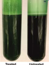 Easy and Efficient Permeabilization of Cyanobacteria for <em>in vivo</em> Enzyme Assays Using B-PER