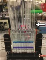 In vitro RNA-dependent RNA Polymerase Assay Using Arabidopsis RDR6