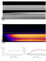 Real-time Analysis of Auxin Response, Cell Wall pH and Elongation in Arabidopsis thaliana Hypocotyls