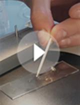 采用电子断层摄影术研究植物组织中的胞间连丝的三维结构 — 从高压冷冻制备到超薄切片采集