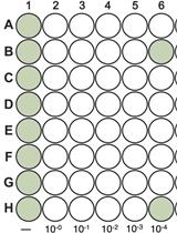 Isolation and Purification of Viruses Infecting Cyanobacteria  Using a Liquid Bioassay Approach