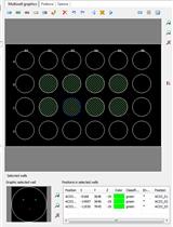 Live-cell Imaging of Neisseria meningitidis Microcolony Dispersal  Induced by Lactate or Other Molecules