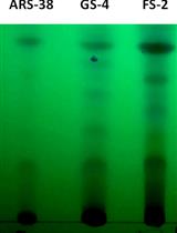 Identification and Quantification of Secondary Metabolites by LC-MS from Plant-associated Pseudomonas aurantiaca and Pseudomonas chlororaphis