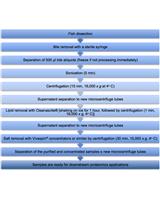 Fish Bile Clean-up for Subsequent Zymography and Mass Spectrometry Proteomic Analyses
