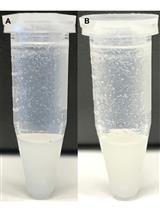 超高效液相色谱 - 串联质谱法（UPLC-MS/MS）提取和分析泛代谢组极性代谢产物