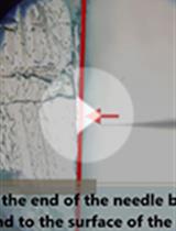Medaka-microinjection with an Upright Microscope