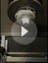 Preparation of Precisely Oriented Cryosections of Undistorted Drosophila Wing  Imaginal Discs for High Resolution Confocal Imaging